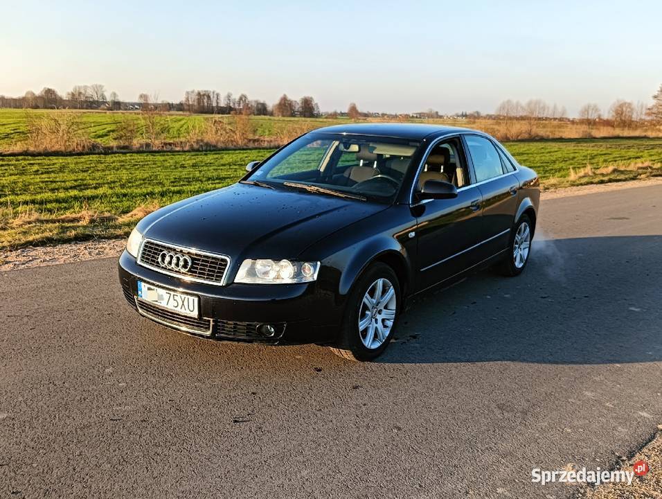 Audi A B Radzy Podlaski Sprzedajemy Pl