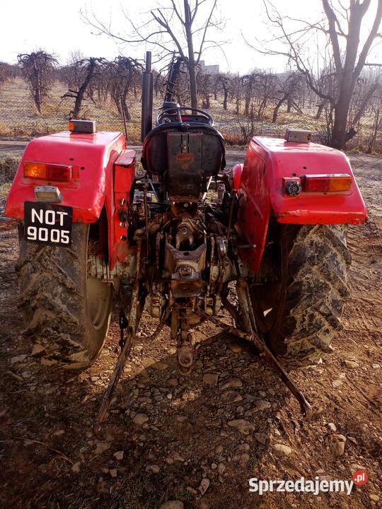 W Oryginale Od W A Ciciela Mf Massey Ferguson Ukowica