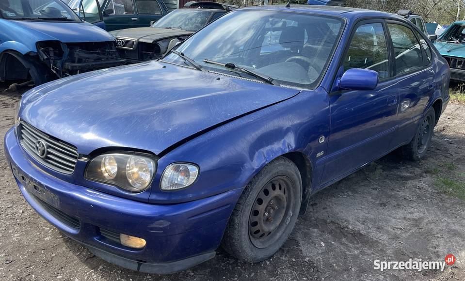 Toyota Corolla VIII E11 Lift FL 1 9 kolor 8L5 NA CZĘŚCI Piotrków