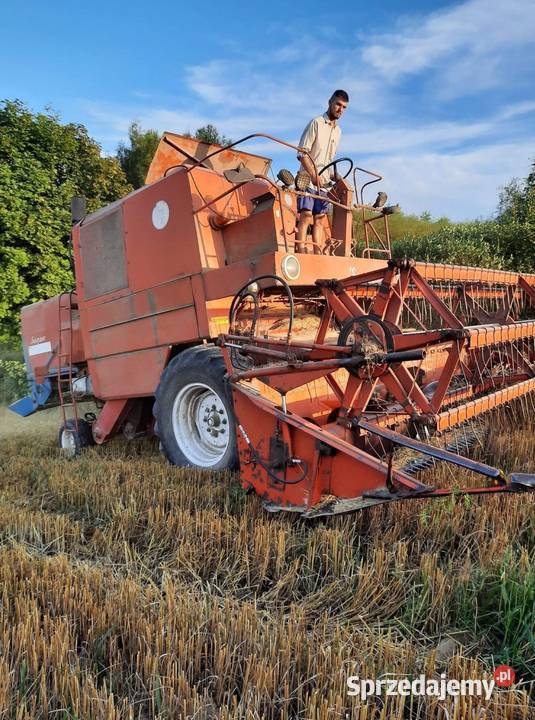 Bizon Super Z56 Boża Wola Sprzedajemy pl