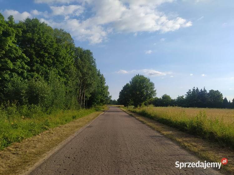 Dzia Ka Budowlana W Otukynie Las Bblisko Zalewu Nowe Miasto