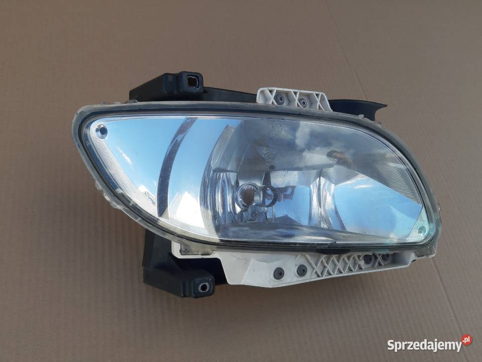 Daf Xf Halogen Prawy Trzciel Sprzedajemy Pl