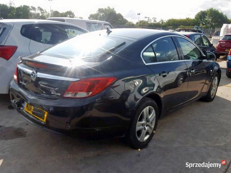 Drzwi Opel Insignia Prawy Ty Prz D Kolor C Hb Turobin Sprzedajemy Pl