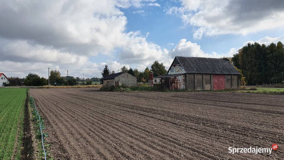 Działka budowlana Woźniaków gm Kutno Sprzedajemy pl