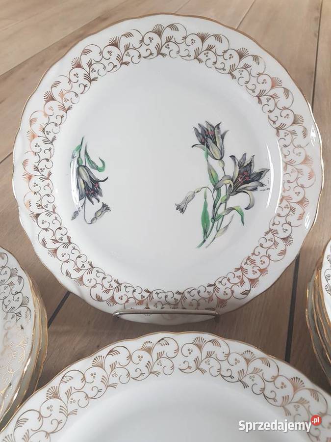 Talerze Obiadowe P Askie Porcelana Francuska Limoges Wola Pod Na