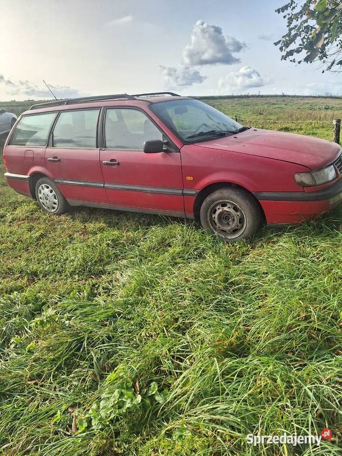 Passat B Tdi Km K Trzyn Sprzedajemy Pl