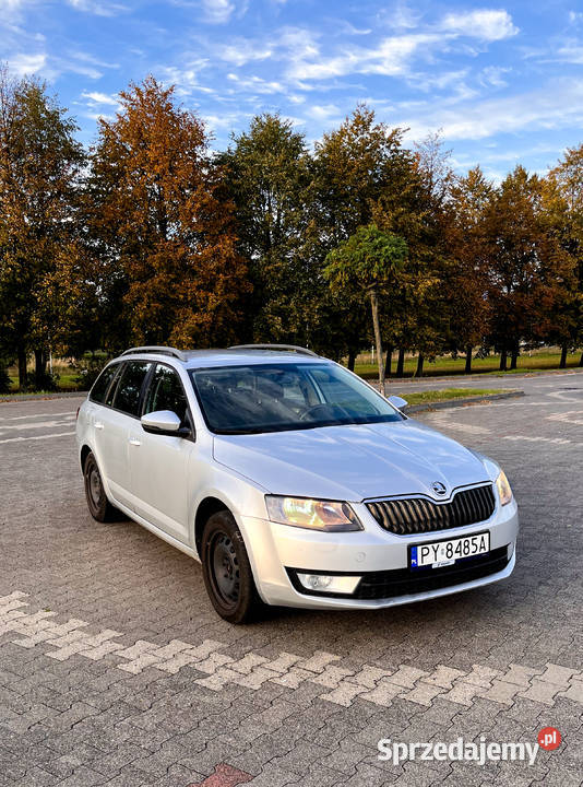 Skoda Octavia Tdi Kombi Z Polskiego Salonu Pozna Sprzedajemy Pl