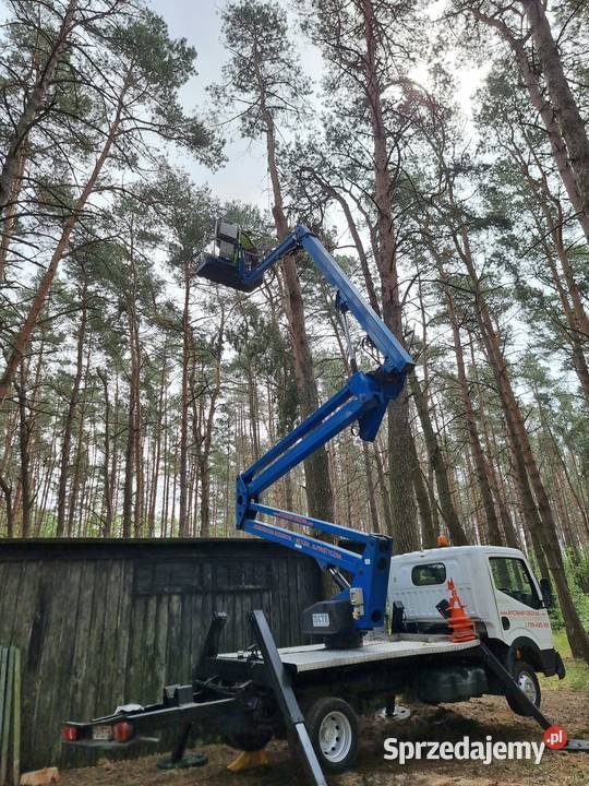 Wycinanie Przycinanie Drzew Z Podno Nika Koszowego Gniezno