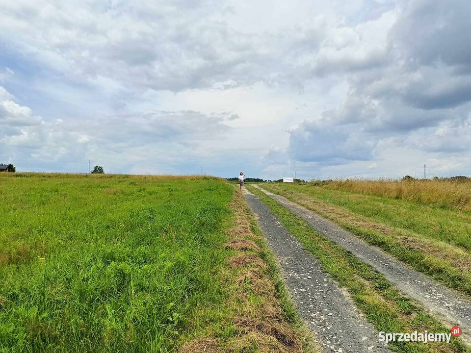 Działka budowlano inwestycyjna w Ryglicach Ryglice Sprzedajemy pl