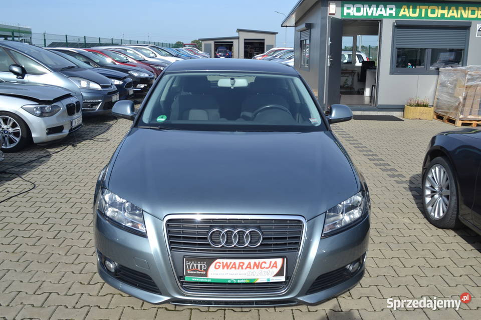 Audi A3 1 6 MPI Z Niemiec 56 Zgorzelec Sprzedajemy Pl