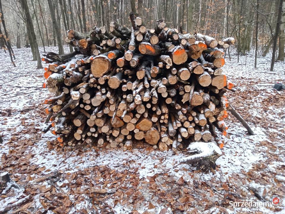 Sprzedam drewno opałowe kominkowe Rudna Sprzedajemy pl