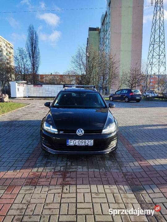 Golf 7 Kombi R Look Zadbany 1 6 TDI Full LED Gorzów Wielkopolski