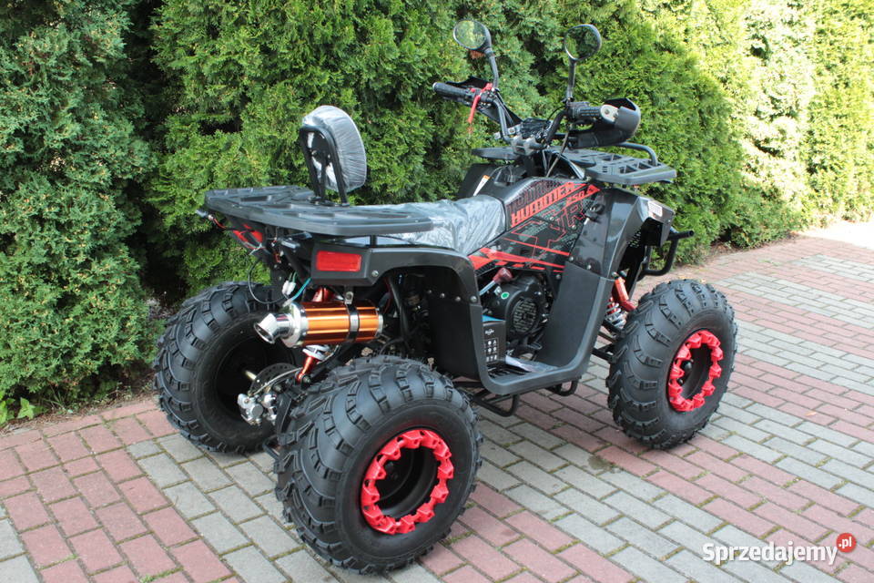 Quad 250 cc 4t Bashan automat raty na telefon Goleniów Sprzedajemy pl