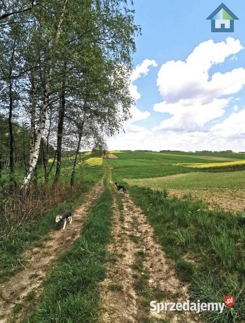 Dzia Ka Budowlana Pod Lasem Polanka Wielka Sprzedajemy Pl