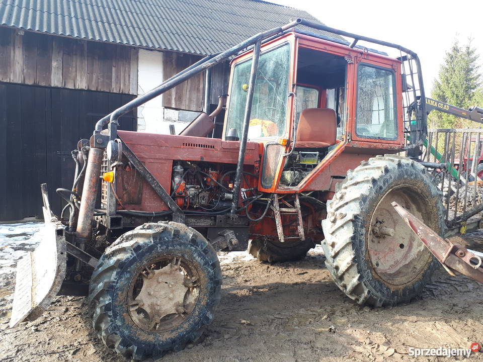 Mtz 82 Belarus Huta Poręby Sprzedajemy pl