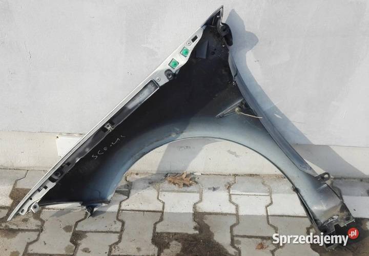 Blotnik Prawy Prz D Renault Scenic Ii Lift Kie Czyna Sprzedajemy Pl