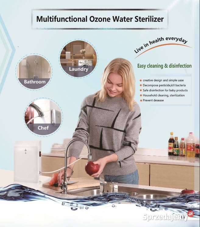 Intelligent Ozone Sterilizer For Vegetable Fruits Meat Zabijak