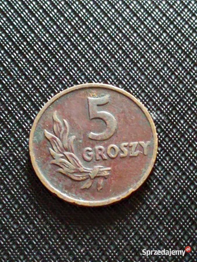 Sprzedam 5 gr 1949 r bzm braz Chełm Sprzedajemy pl