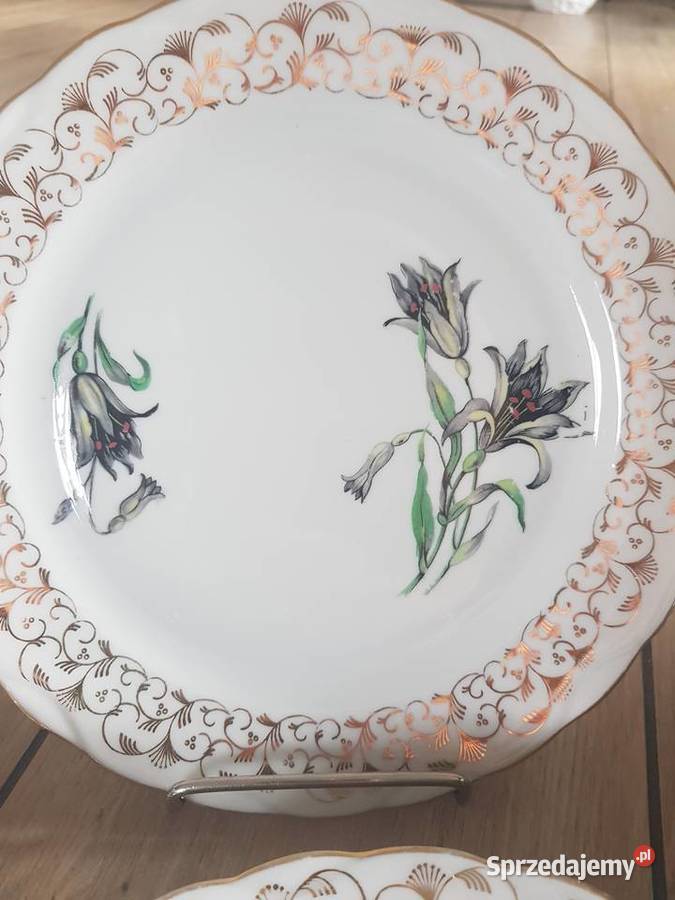 Talerze Obiadowe Płaskie Porcelana Francuska Limoges Wola Podłężna