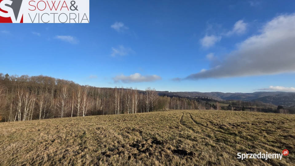 Rezydencjalna działka budowlana w Górach Sowich Zagórze Śląskie