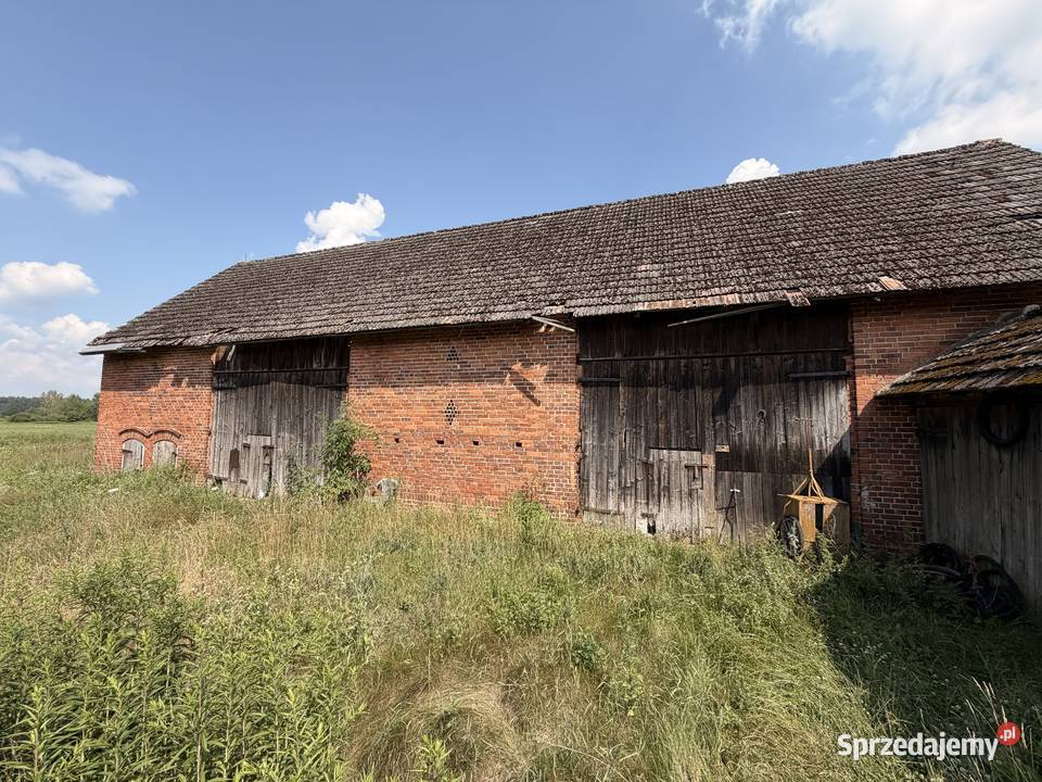 Siedlisko 517 ha z ceglaną stodołą Pawłów gm