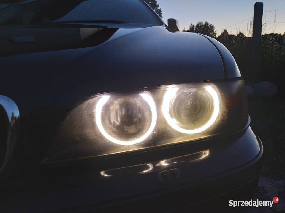BMW Seria 5 E39 M54 170 Shadowline manualna Seria 5 Ełk sprzedam
