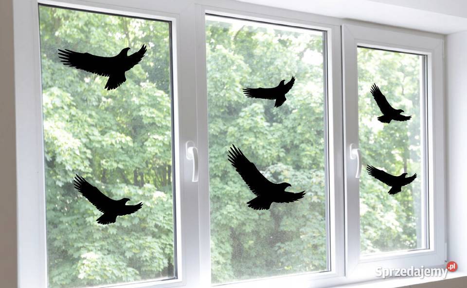 Naklejki odstraszające ptaki na szybę okno 30x17 Kobierno sprzedam