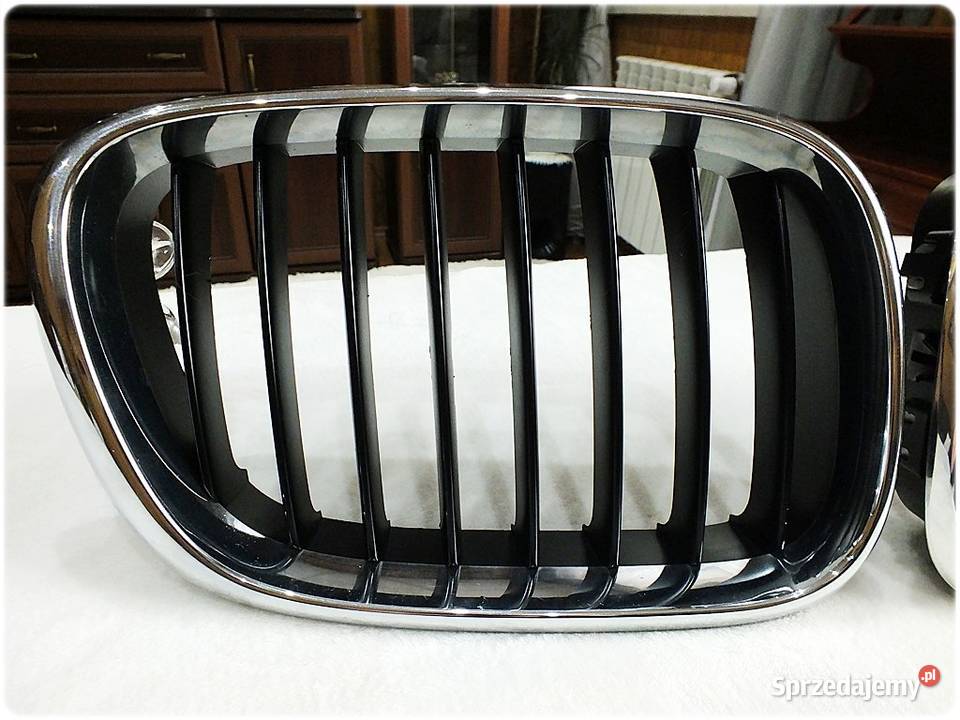Oryginalne Nerki Grill BMW X5 E53 19992003 Prawa osobowe Żary