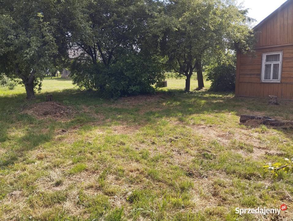 Siedlisko działka 21a Puchaczów Stara Wieś lubelskie Łęczna