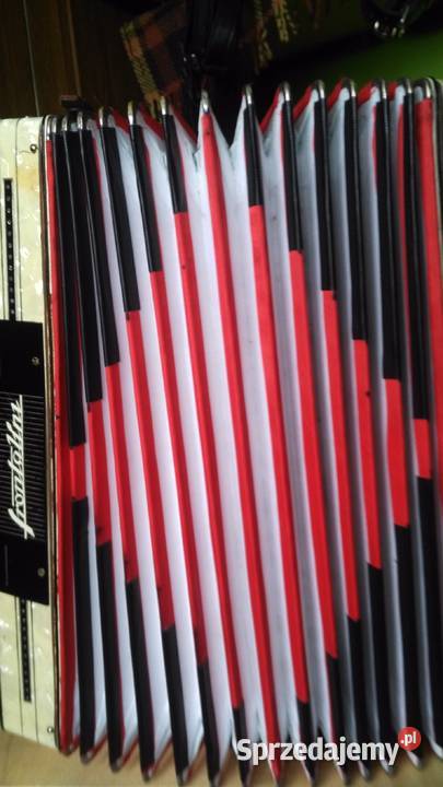 Akordeon Frontalini Krasne Potockie