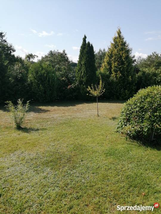 Sprzedam działkę rekracyjną ROD BRATEK Domy Solec Kujawski