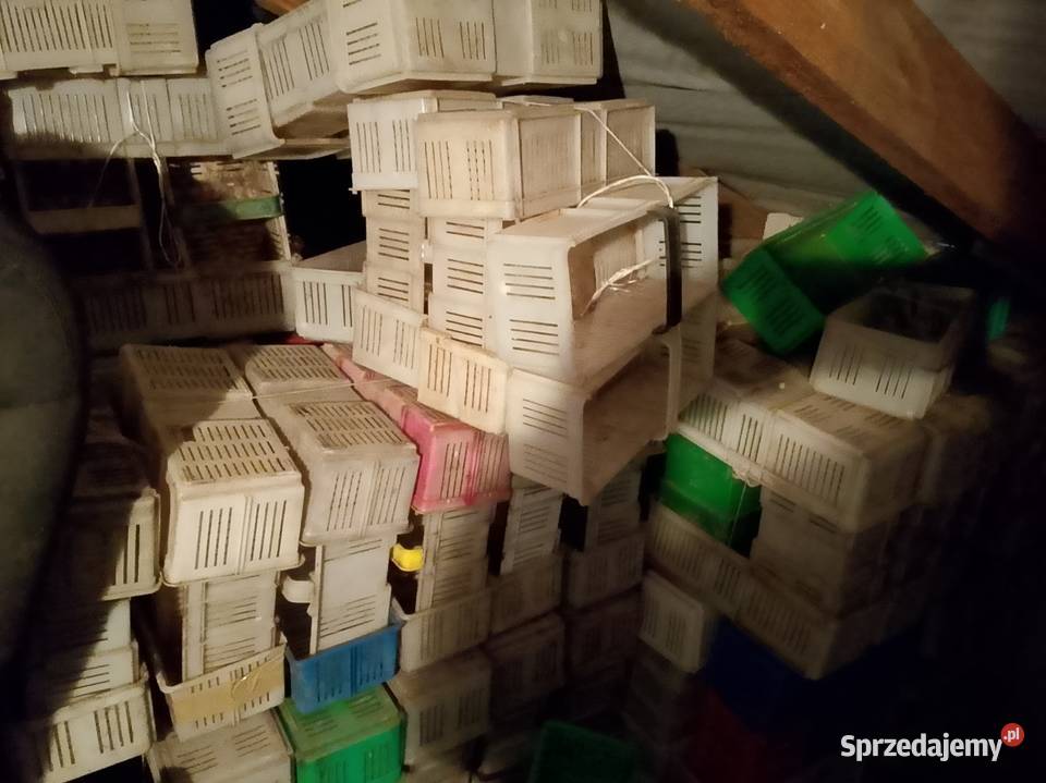 Koszyczek łubianka kobiałka świętokrzyskie Bieliny