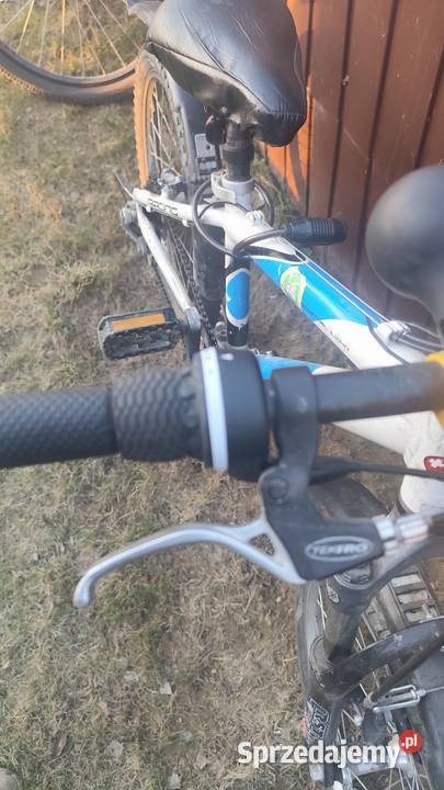 Rower dziecięcy 20" małopolskie Marcinkowice sprzedam