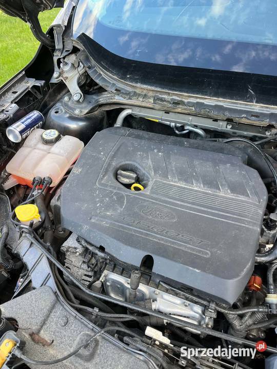 Ford Kuga Okazjaw całości na części Orły