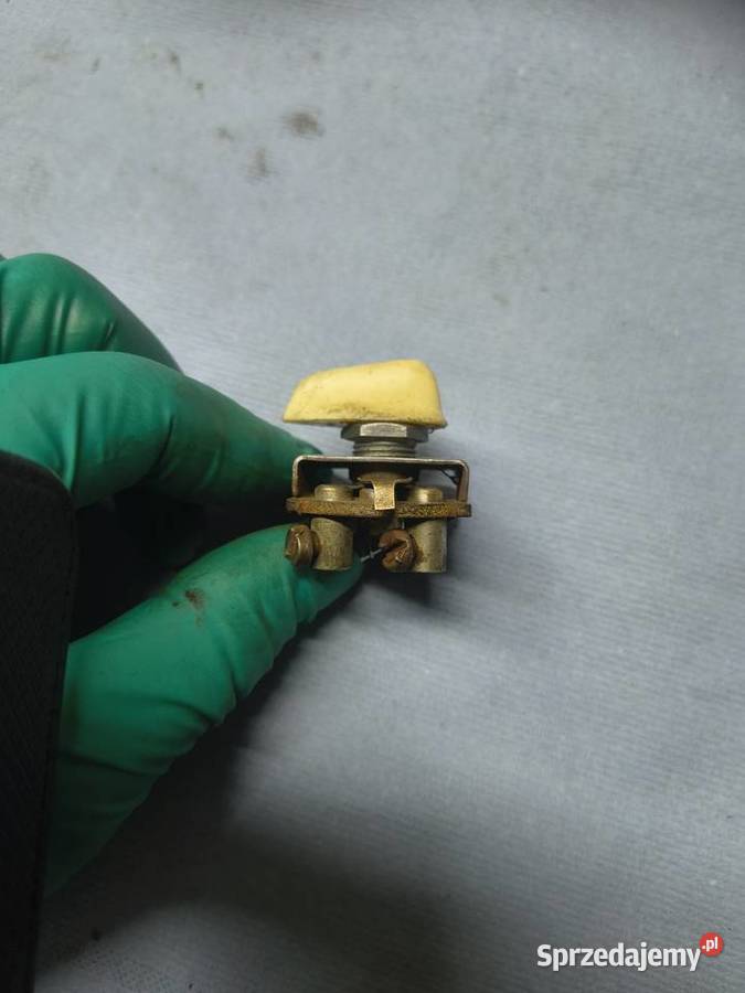 Stacyjka komar sztywniak żak Ryś