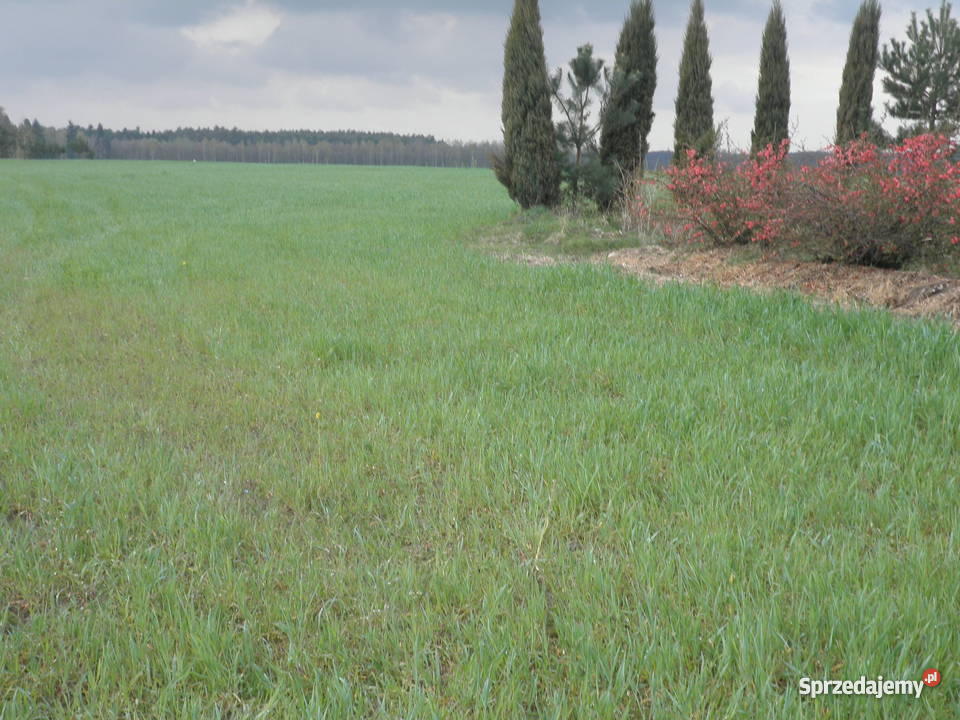 STACJA PALIW Grunty i działki Turek