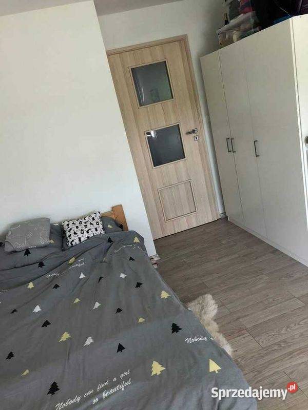3pok 54met Studziennej PIWNICAWINDA Wrocław