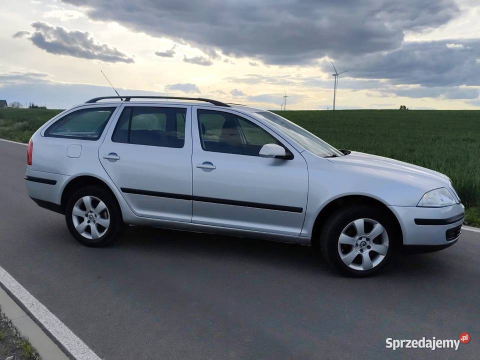 Skoda octavia tdi4x4 Margonin
