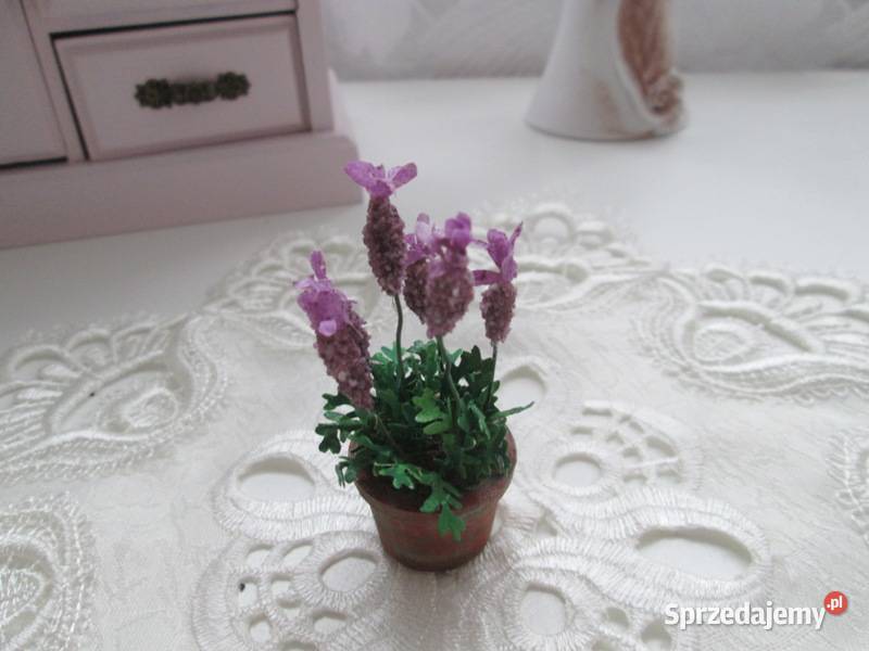 Akcesoria do domku lalek kwiat lawendy miniatury