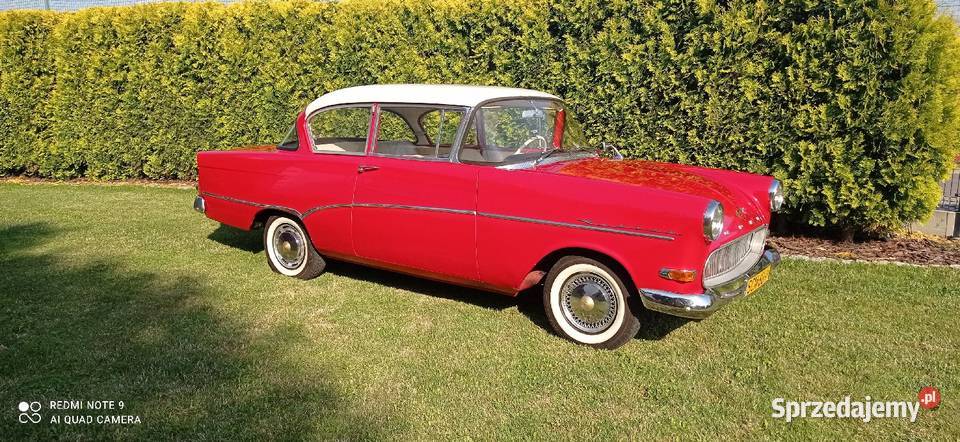 Opel Rekord z 1960 roku remoncie 40KM