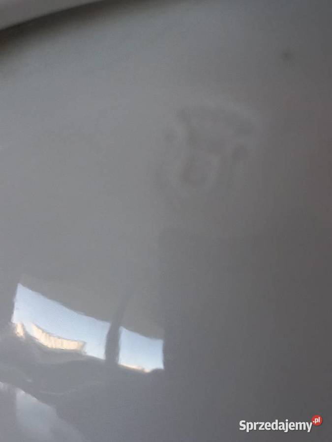 Forma porcelanowa Ryba BeyerBock antyk kujawsko-pomorskie Toruń sprzedam