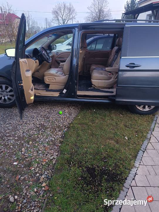 Honda odyssey Borowa