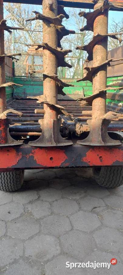 Rozrzutnik Warfama Załusin