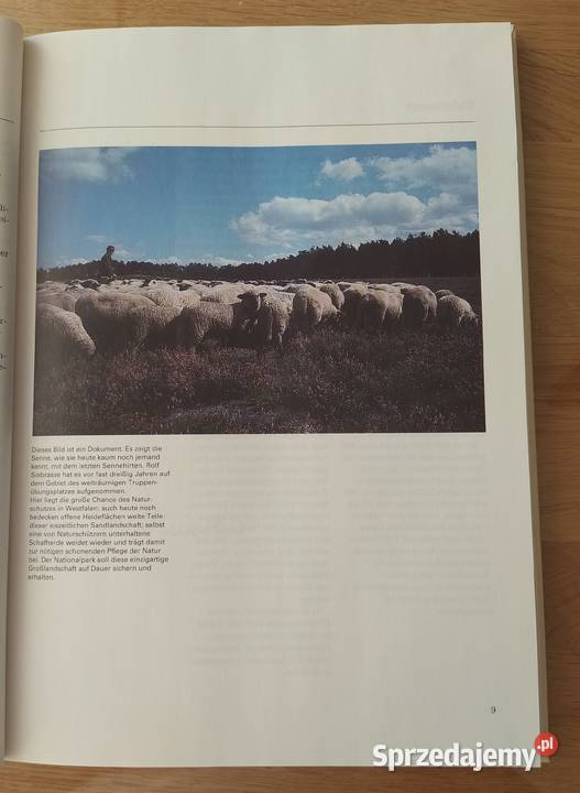 Natur verstehen Natur erhalten Hajnówka