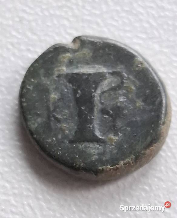 Moneta antyczna Grecja Aeolis Kyme 350250 BC Wejherowo sprzedam