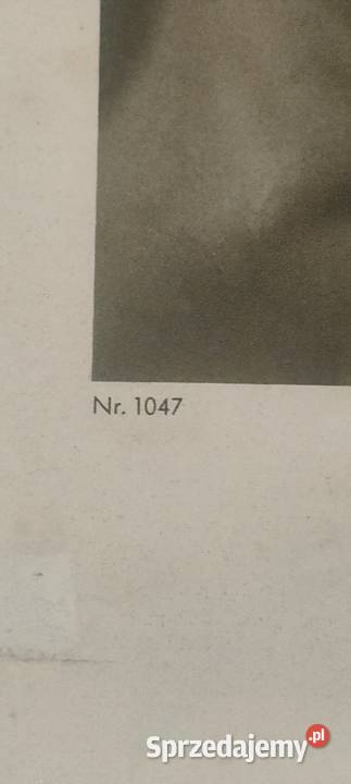 Tytuł Oryginalny duży portret historyczny Adolf Antykwariat