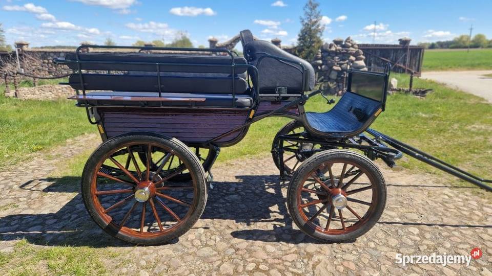 Powóz konny bryczka Wagonetka na 1 i 2 konie Dolsk