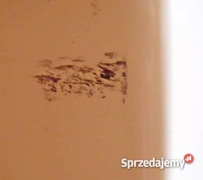 Zamrażarka Whirlpool AFG 522CH 470L wolnostojące Lodówki i zamrażarki Jordanów