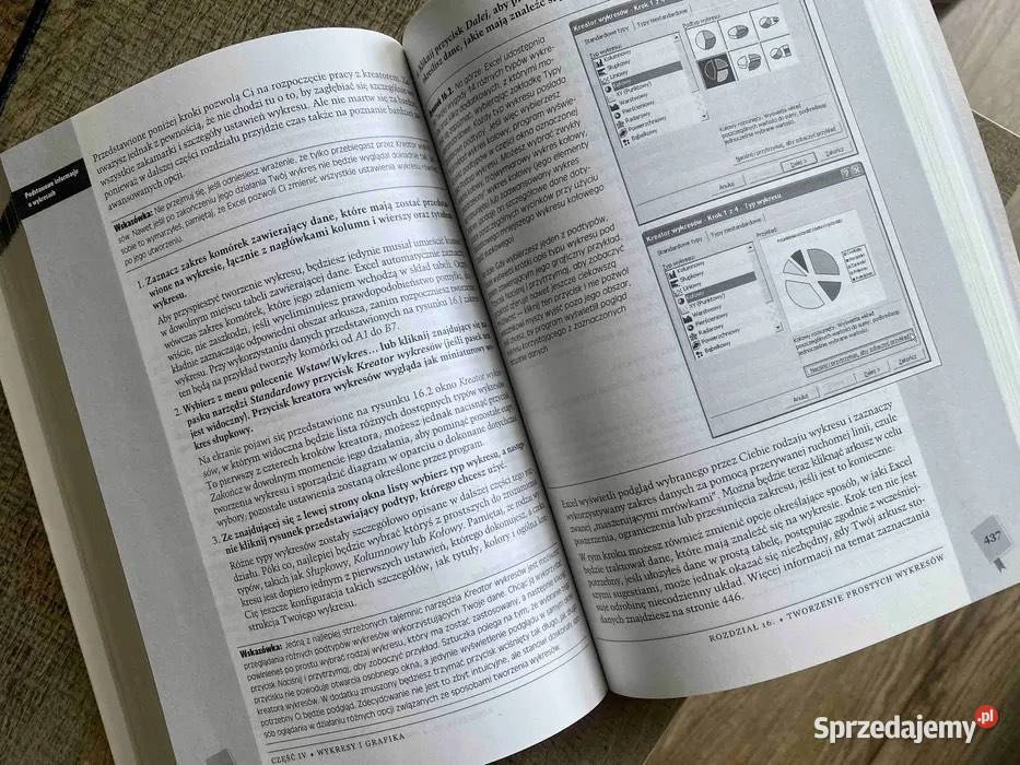 Excel 2003 nieoficjalny podręcznik Olsztyn