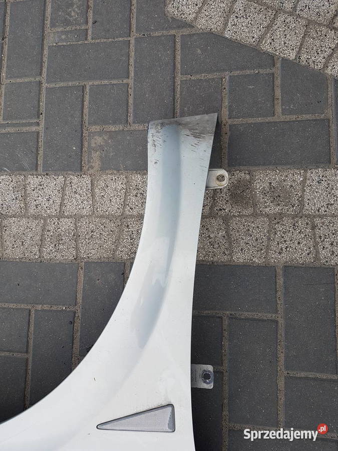 RENAULT MEGANE II BLOTNIK PRZOD LEWY PRAWY NV632 Turek